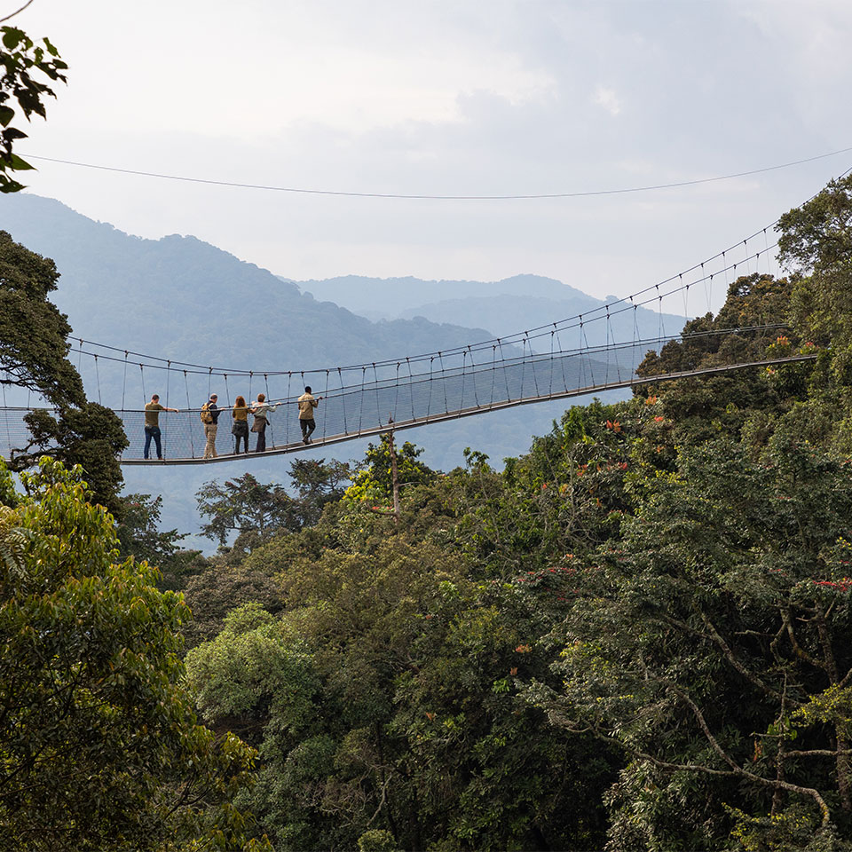 Nyungwe National Park